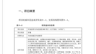 河南洛阳市市政道桥PPP项目