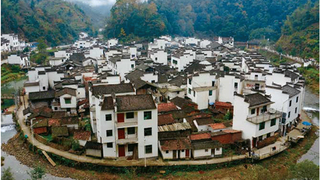 实施乡村振兴战略 共建共享美好生活
