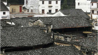 创新乡村振兴的融投建管模式
