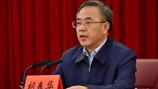 国家副总理胡春华：拖欠工资“按日计息”，是“到2020年实现