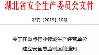 安全总监来了 | 享受副职待遇，行使一票否决权！