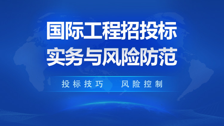 国际工程招投标实务与风险防范