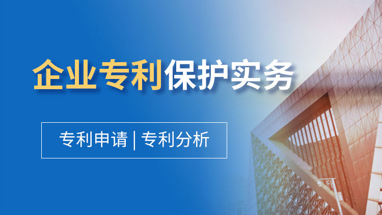 企业专利保护实务