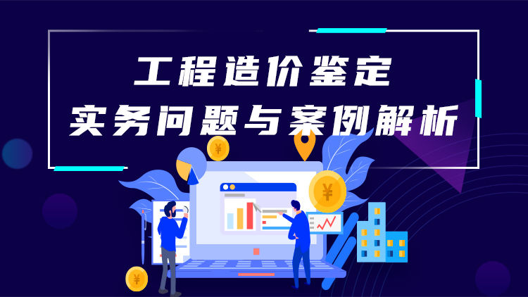 工程造价鉴定实务问题与案例解析
