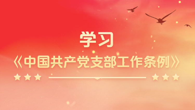 学习《中国共产党支部工作条例》