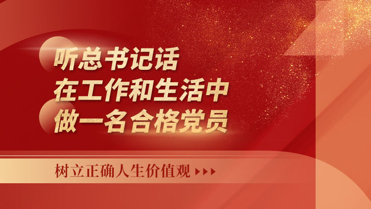 听总书记话，在工作和生活中做一名合格党员