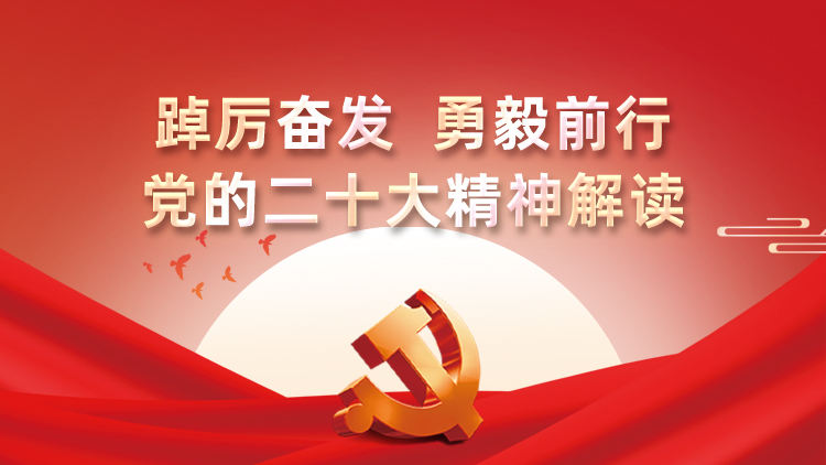踔厉奋发、勇毅前行，党的二十大精神解读