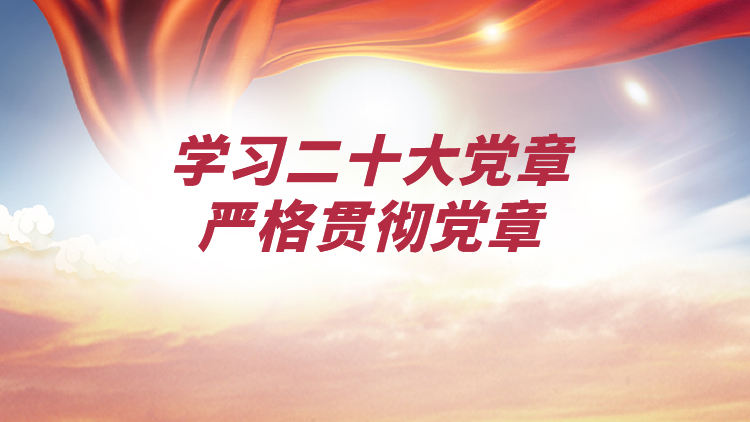 学习二十大党章，严格贯彻党章