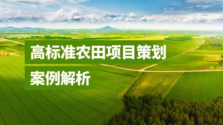 高标准农田项目策划案例解析