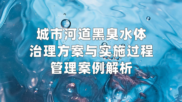 城市河道黑臭水体治理方案与实施过程管理案例解析