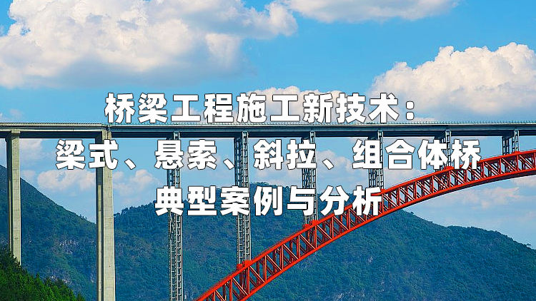 桥梁工程施工新技术：梁式、悬索、斜拉、组合体桥典型案例与分析