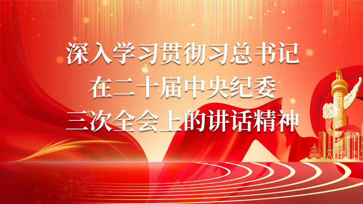 深入学习贯彻习总书记在二十届中央纪委三次全会上的讲话精神
