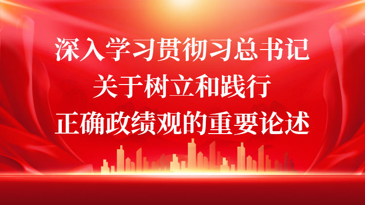 深入学习贯彻习总书记关于树立和践行正确政绩观的重要论述