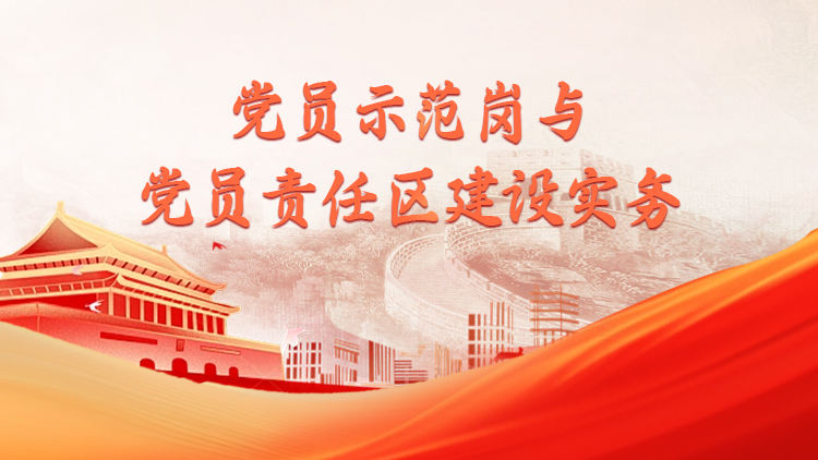 党员示范岗与党员责任区建设实务