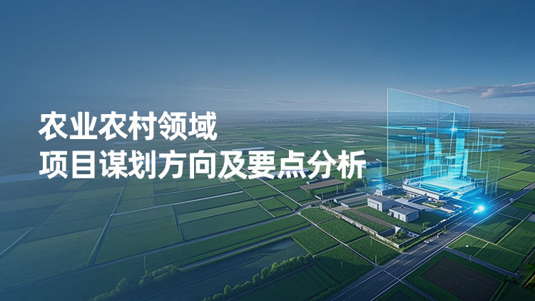 农业农村领域项目谋划方向及要点分析