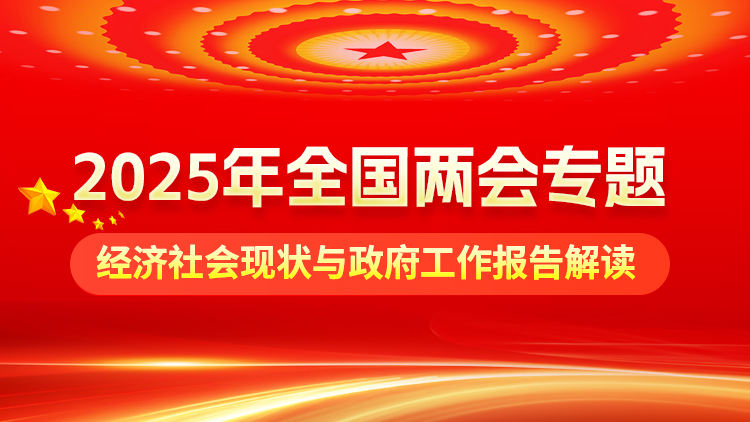 2025年全国两会专题：经济社会现状与政府工作报告解读