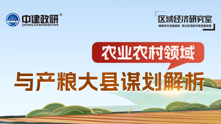 农业农村领域与产粮大县谋划解析