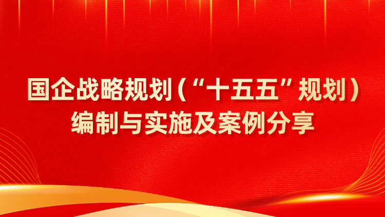 国企战略规划（“十五五”规划）编制与实施及案例分享