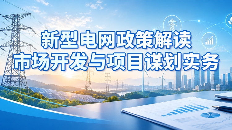 新型电网政策解读、市场开发与项目谋划实务