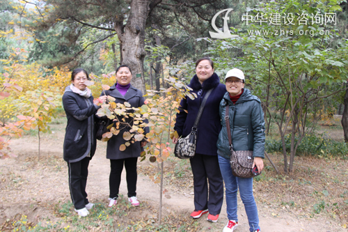 中建政研人在香山公园合影留念